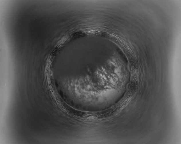 X0000087680913200705111257