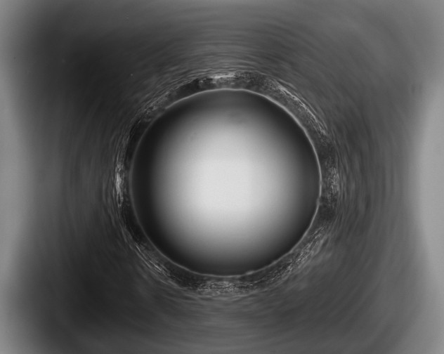 X0000087680914200705111257