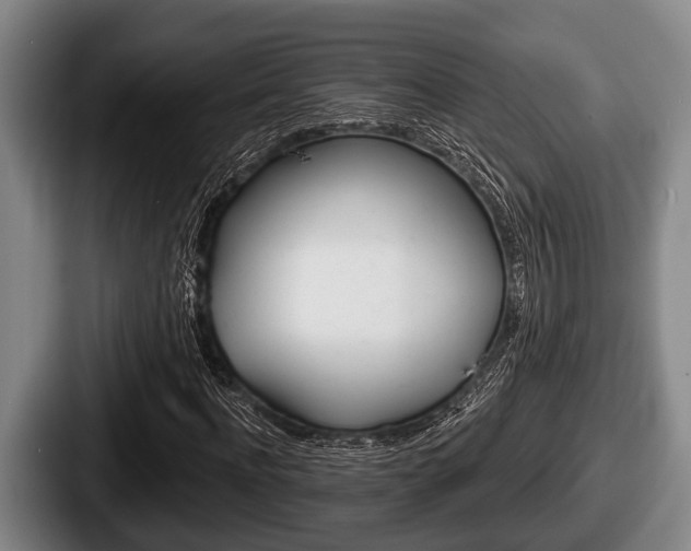 X0000087680916200705111257