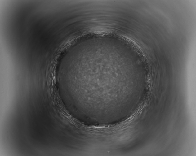 X0000087680917200705111257