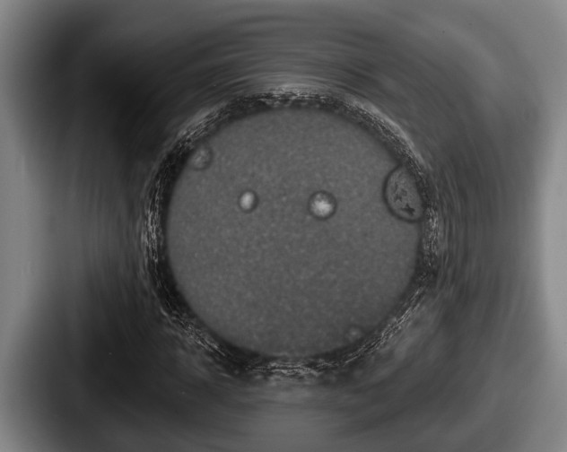 X0000087680918200705111257