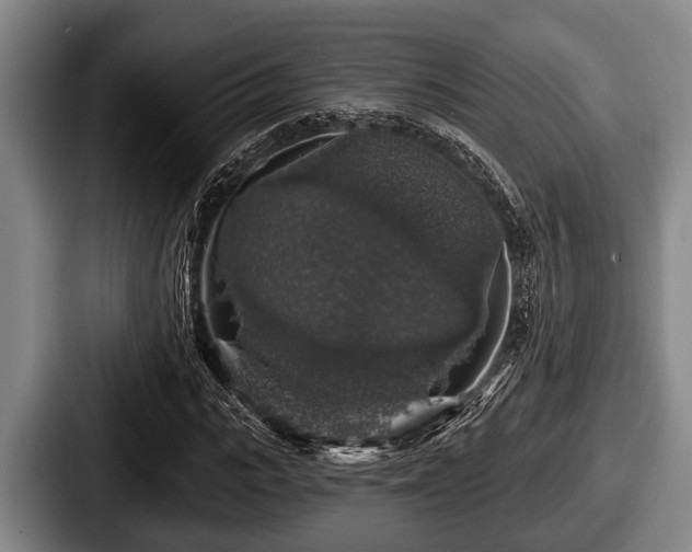X0000087680919200705111257