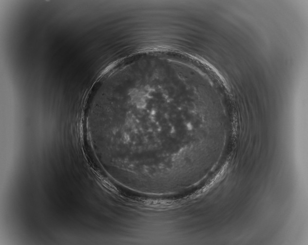 X0000087680921200705111257