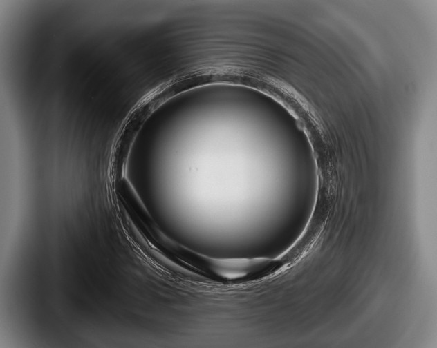 X0000087680922200705111257