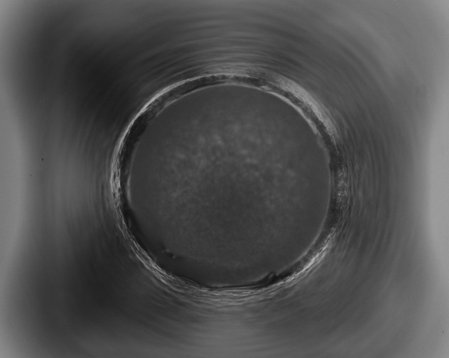 X0000087680923200705111257