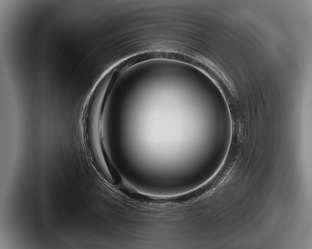 X0000087680926200705111257