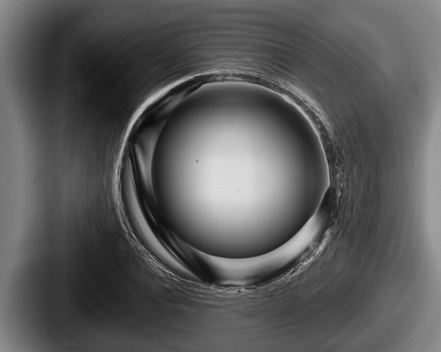 X0000087680928200705111257