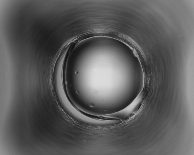 X0000087680930200705111257