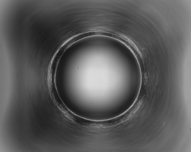 X0000087680931200705111257
