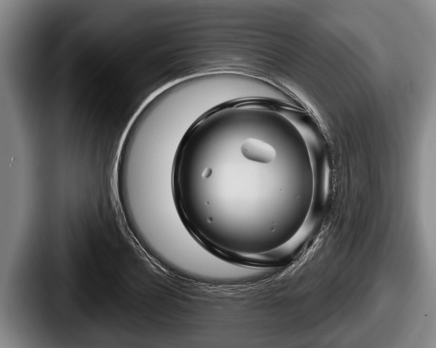 X0000087680932200705111257