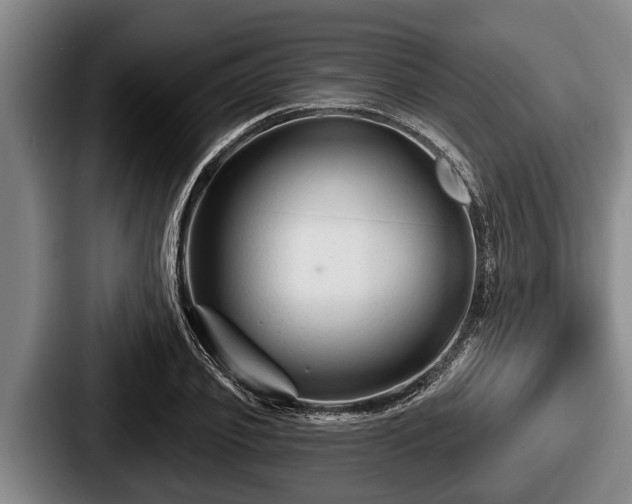 X0000087680933200705111257