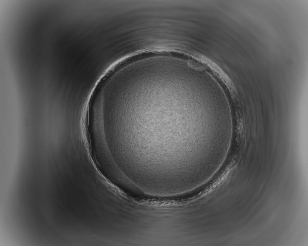 X0000087680934200705111257