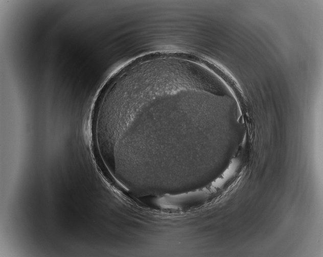 X0000087680935200705111257