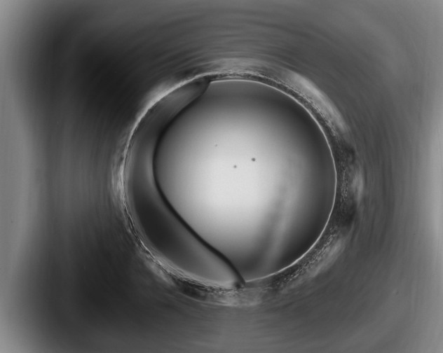 X0000087680936200705111257
