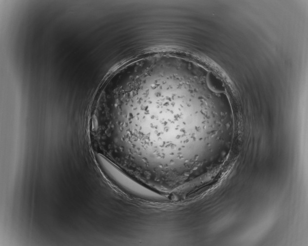 X0000087680937200705111257