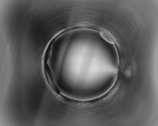 X0000087680939200705111257
