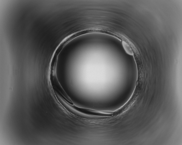 X0000087680940200705111258