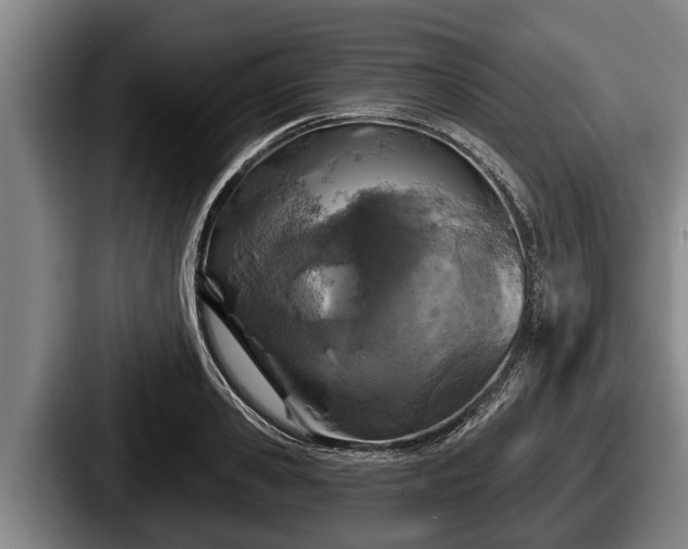 X0000087680941200705111258
