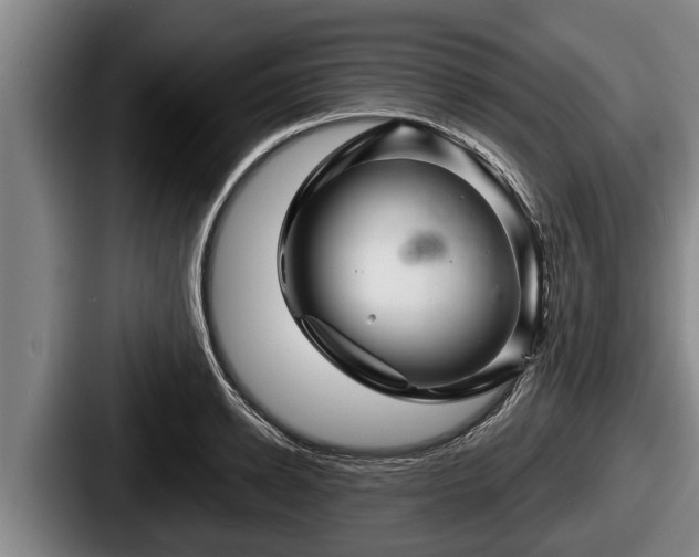 X0000087680942200705111258
