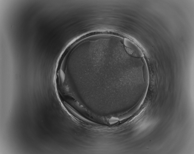 X0000087680943200705111258