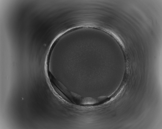 X0000087680944200705111258