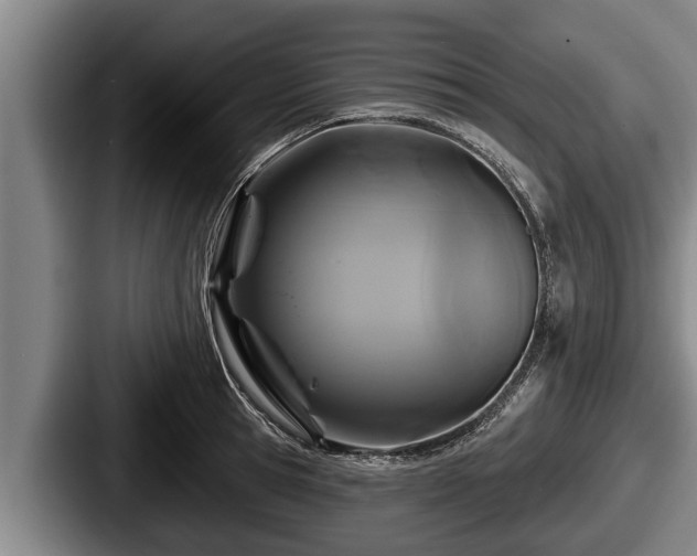 X0000087680945200705111258