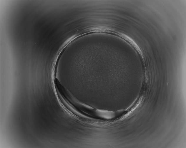 X0000087680946200705111258