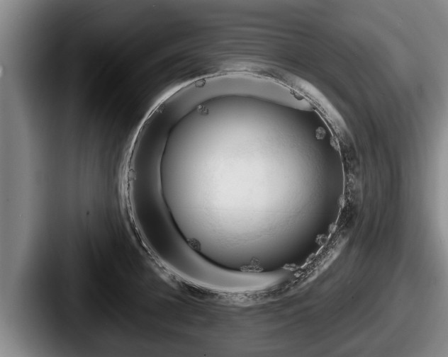 X0000087680948200705111258