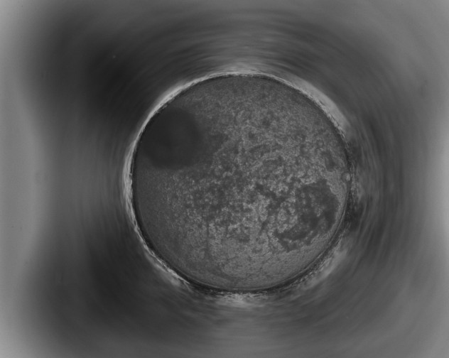 X0000087680950200705111258