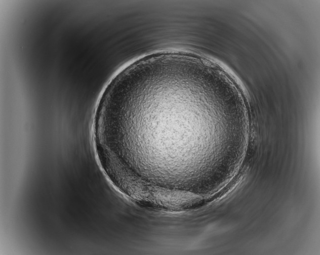 X0000087680951200705111258