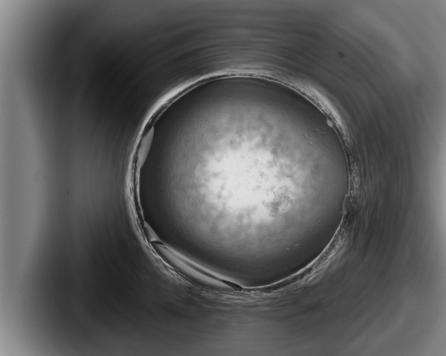 X0000087680952200705111258