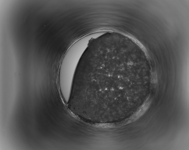 X0000087680953200705111258