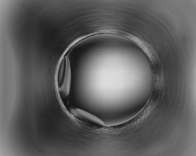 X0000087680955200705111258