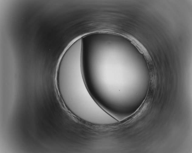 X0000087680956200705111258