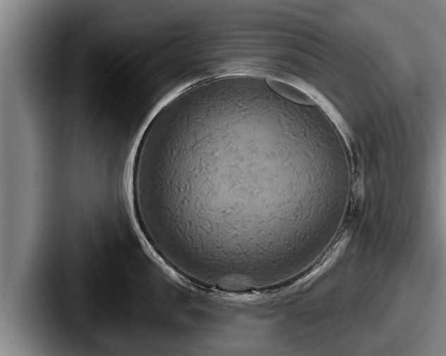X0000087680957200705111258