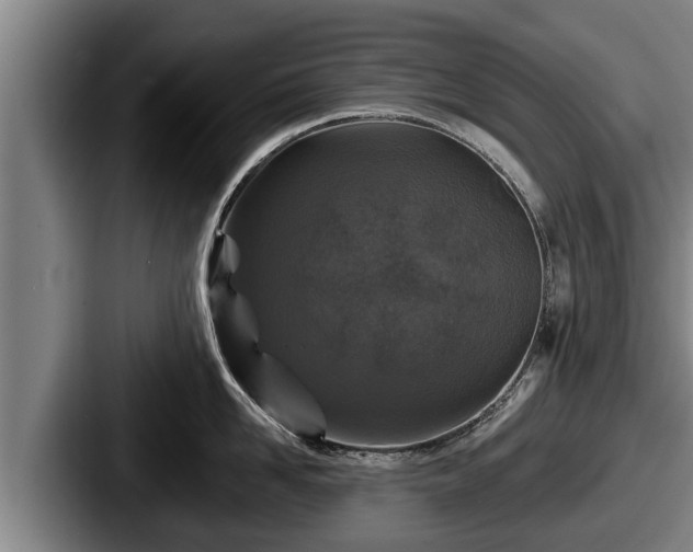 X0000087680958200705111258
