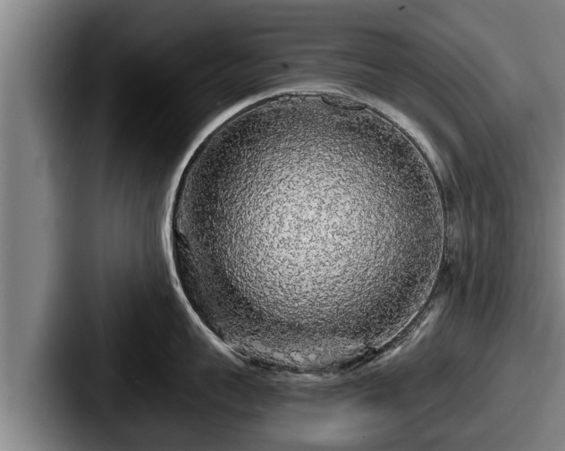 X0000087680959200705111258