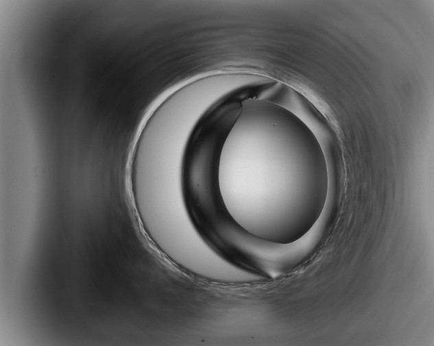 X0000087680960200705111258