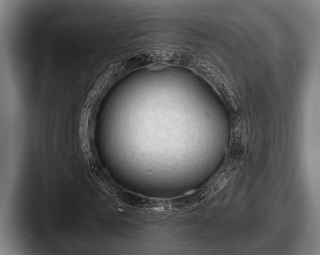 X0000087680961200705111257