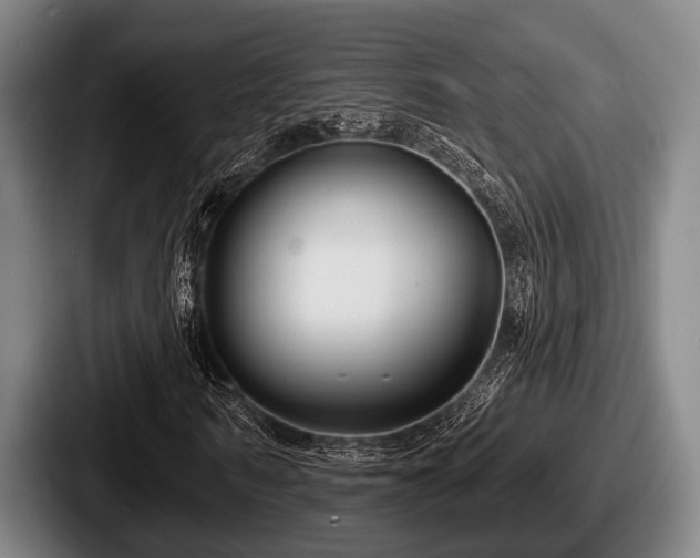 X0000087680962200705111257