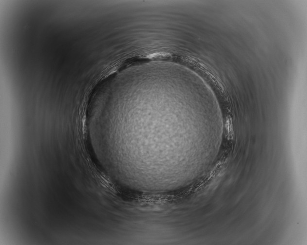 X0000087680963200705111257