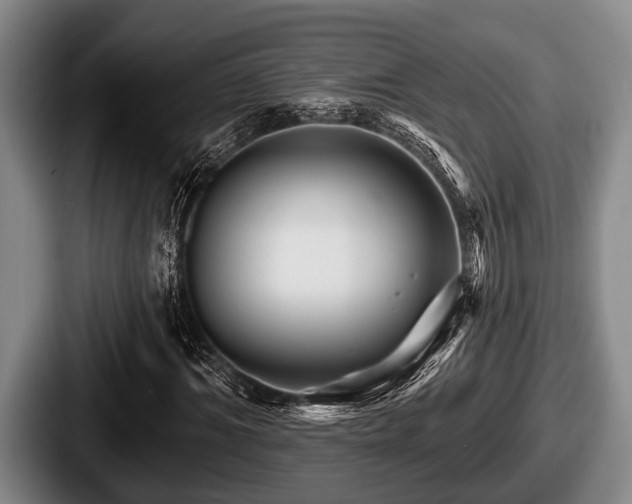 X0000087680964200705111257