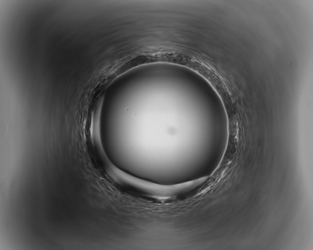 X0000087680965200705111257