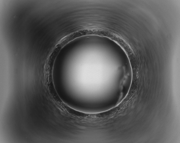 X0000087680968200705111257