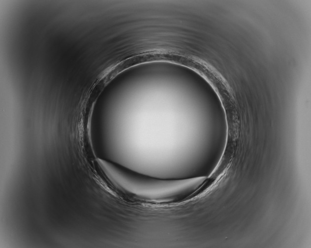 X0000087680969200705111257