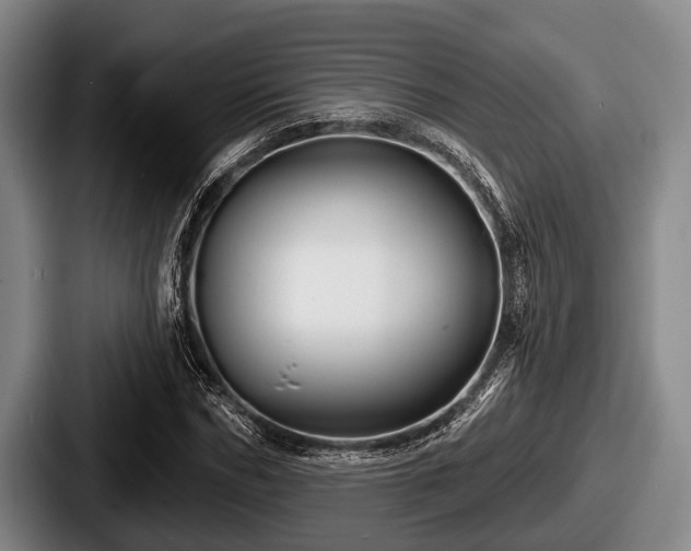 X0000087680970200705111257