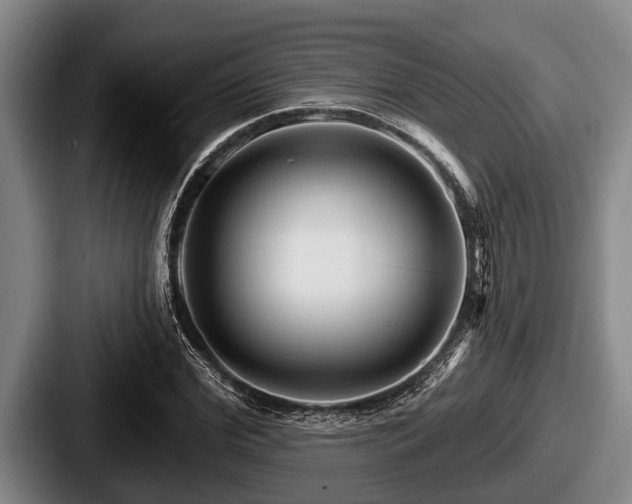 X0000087680972200705111257