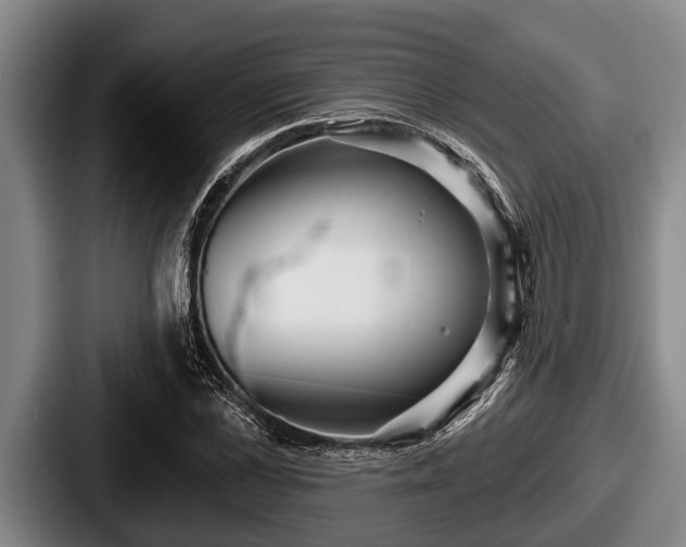 X0000087680973200705111257