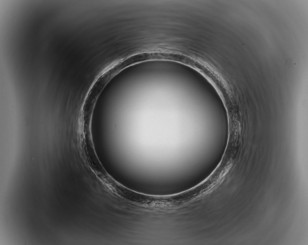 X0000087680974200705111257