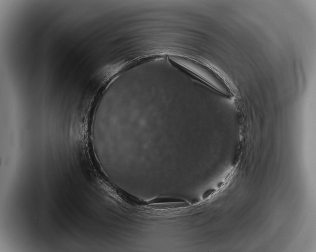 X0000087680977200705111257